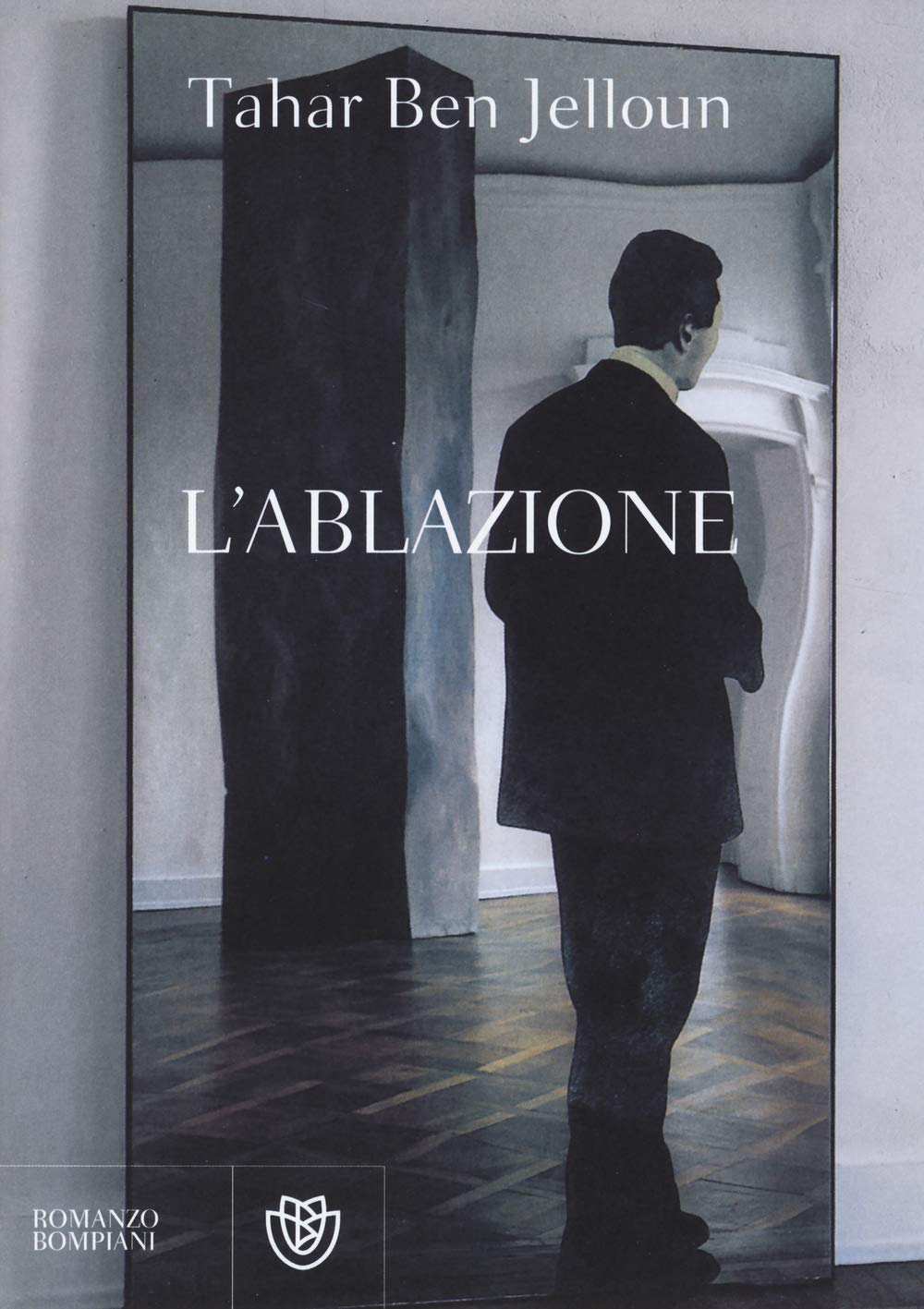L'ablazione book