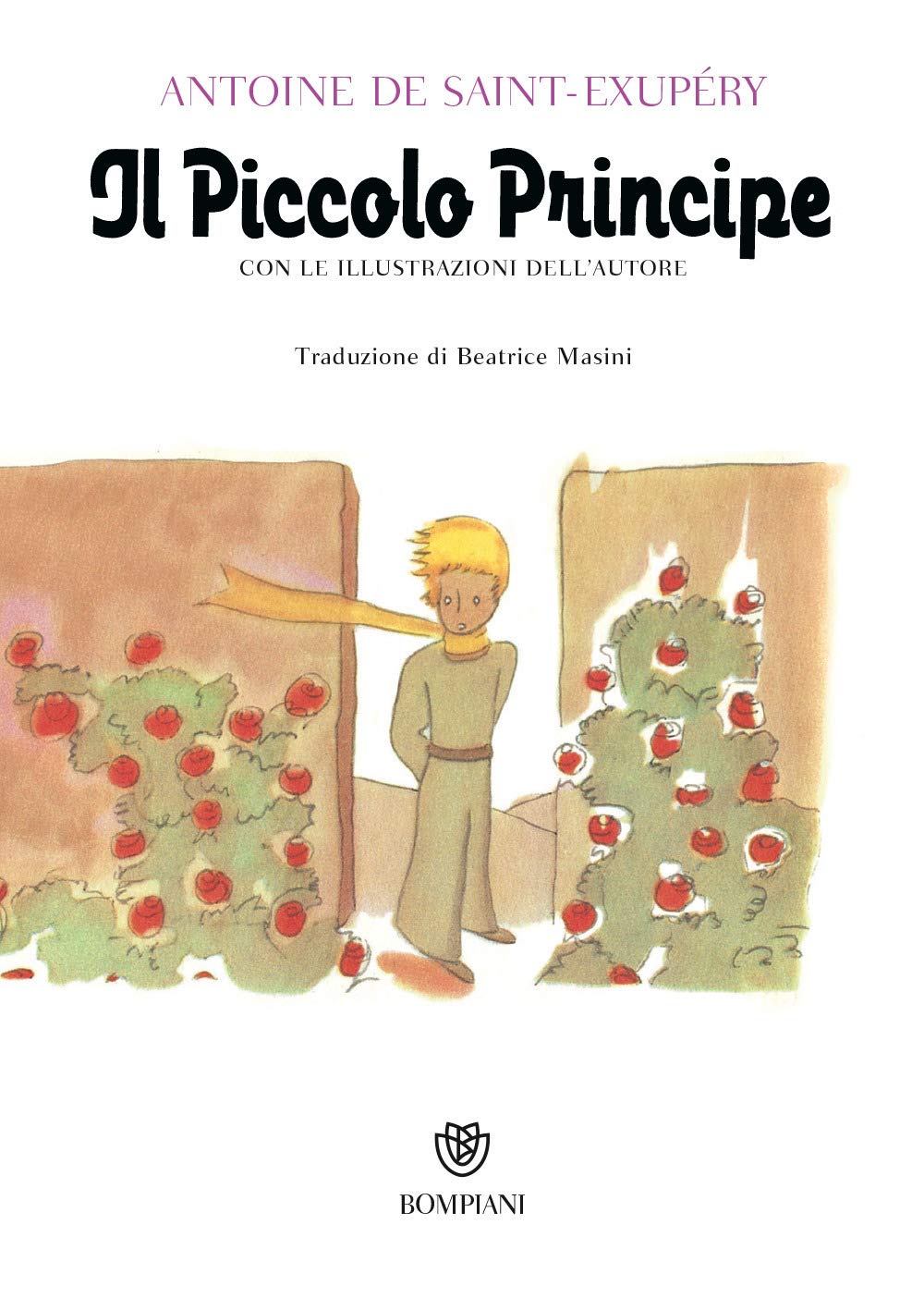 Il Piccolo Principe book