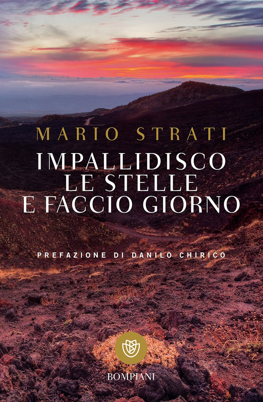 Impallidisco le stelle e faccio giorno book