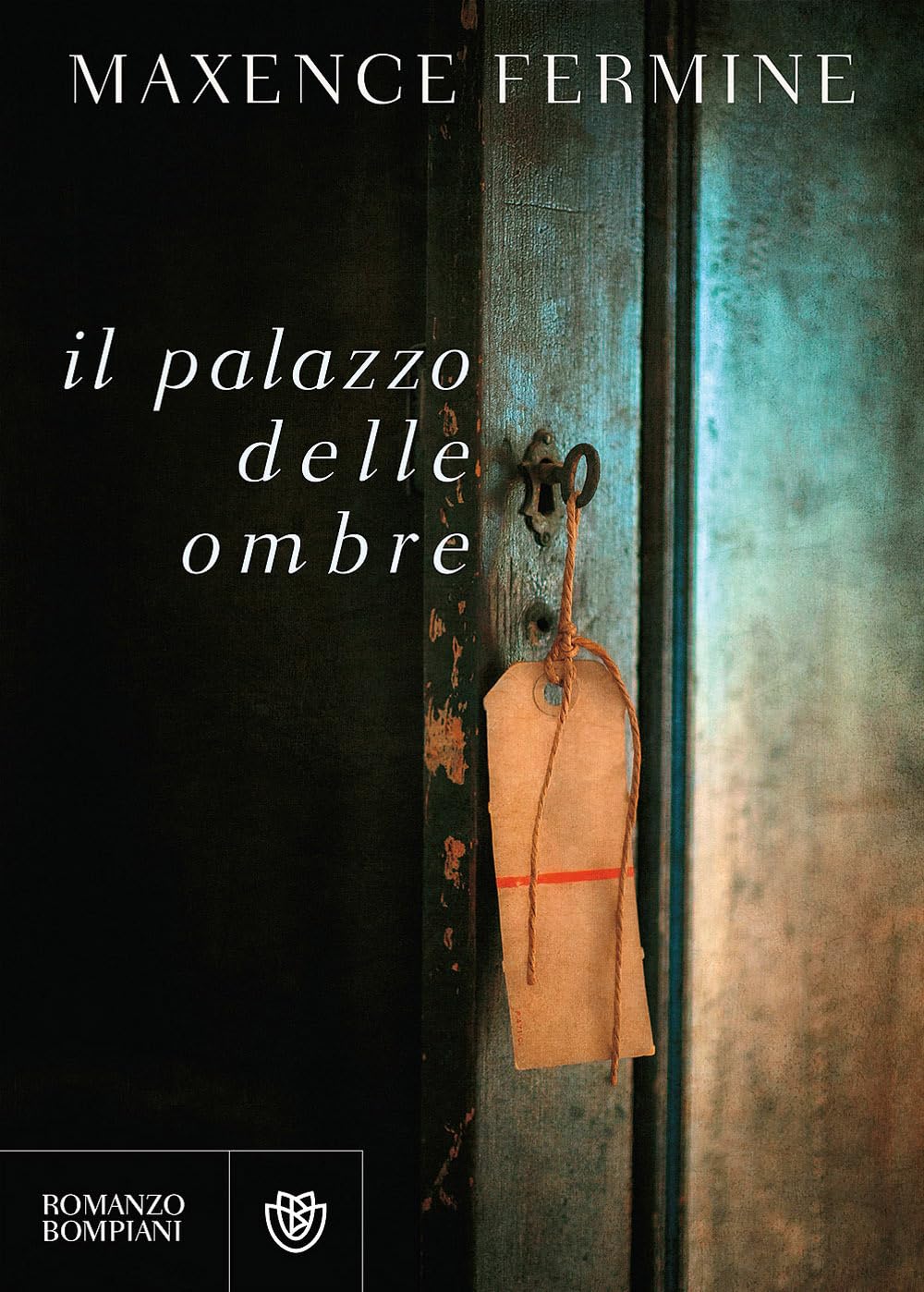 Il palazzo delle ombre (Letteraria straniera) Contemporary literature