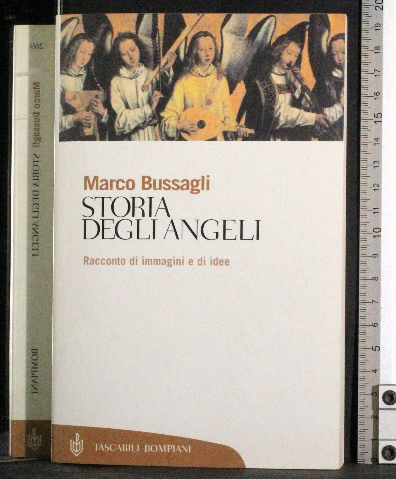 Storia degli angeli. Racconto di immagini e di idee (Tascabili. Saggi) Film, Art & Culture