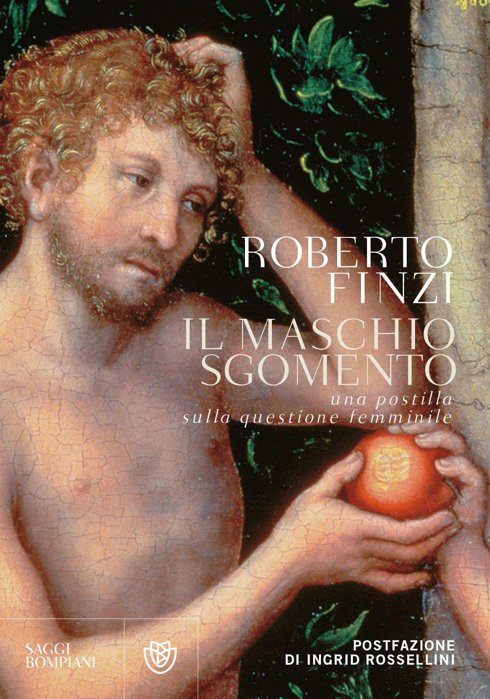Il maschio sgomento. Una postilla sulla questione femminile book