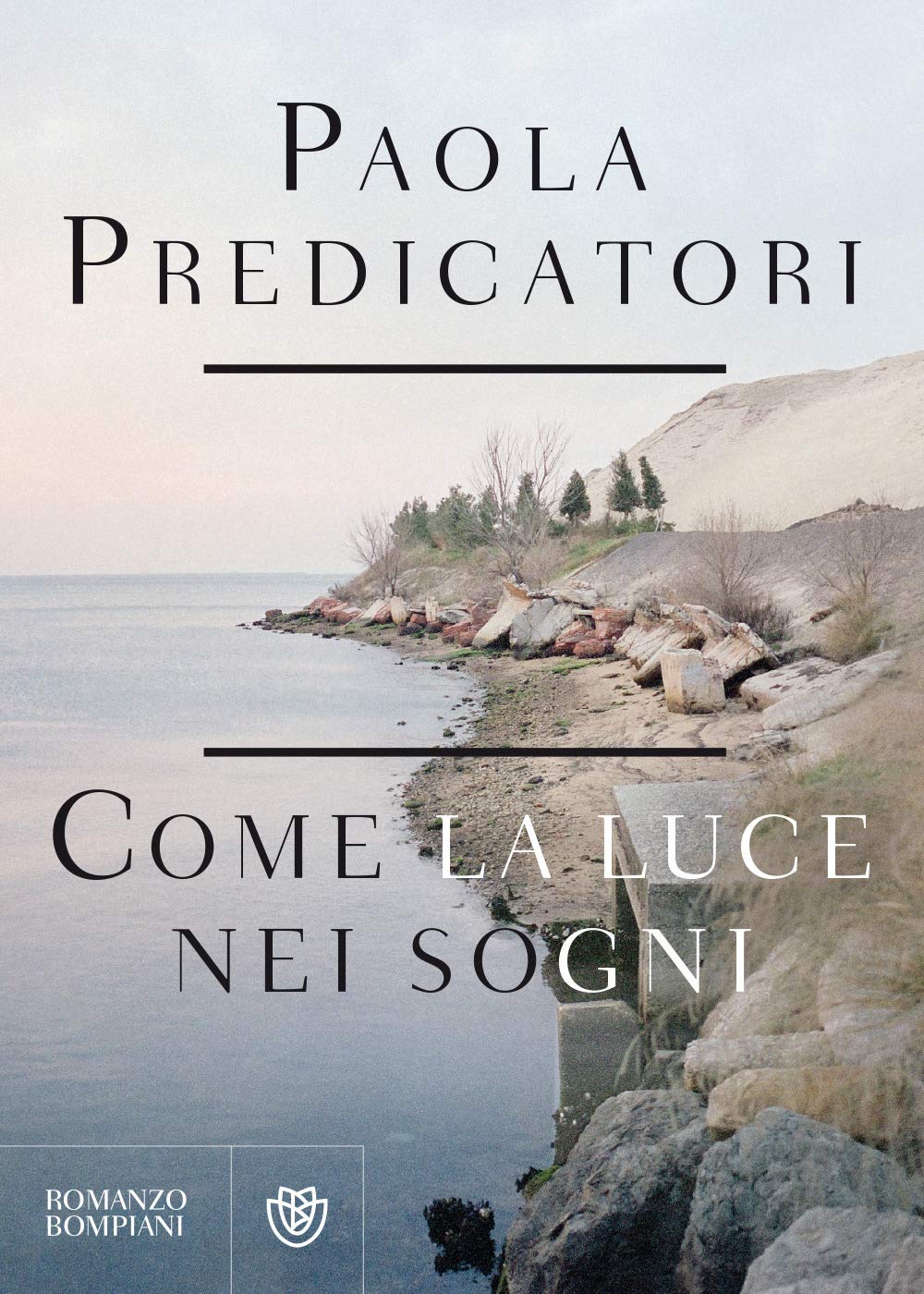 Come la luce nei sogni (Narratori italiani) Contemporary literature