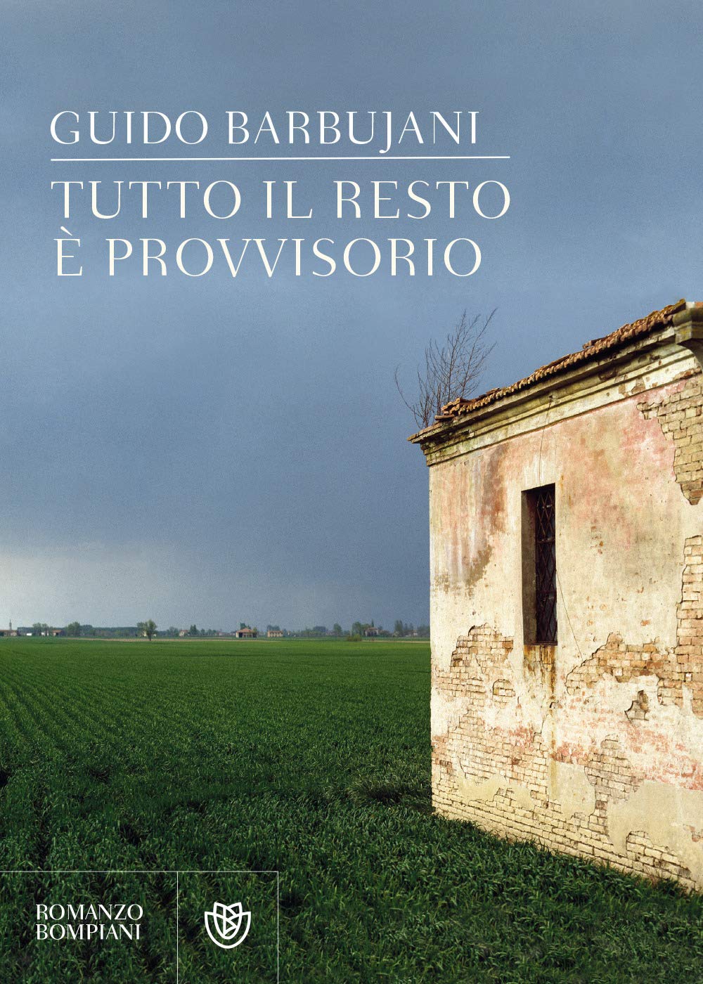 Tutto il resto è provvisorio (Narratori italiani) Contemporary literature