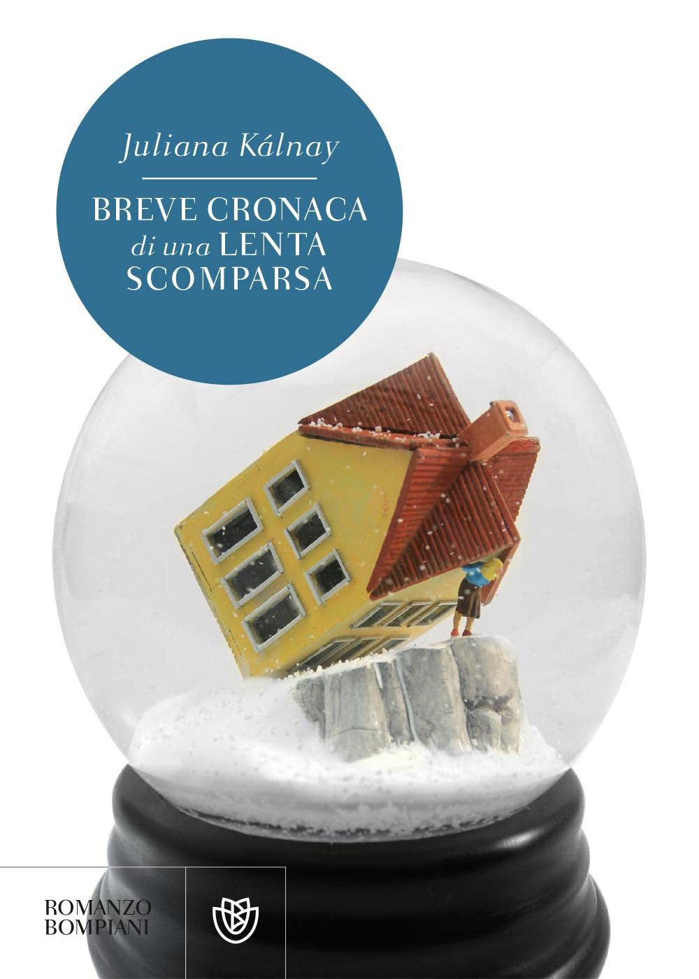 Breve cronaca di una lenta scomparsa (Narrativa straniera) Contemporary literature