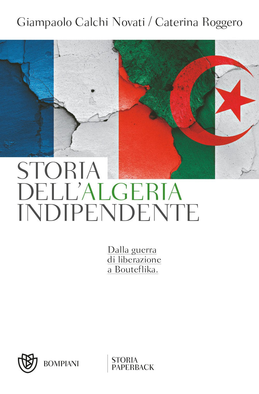 Storia dell'Algeria indipendente: Dalla guerra di liberazione a Bouteflika (Storia paperback) Politics & History