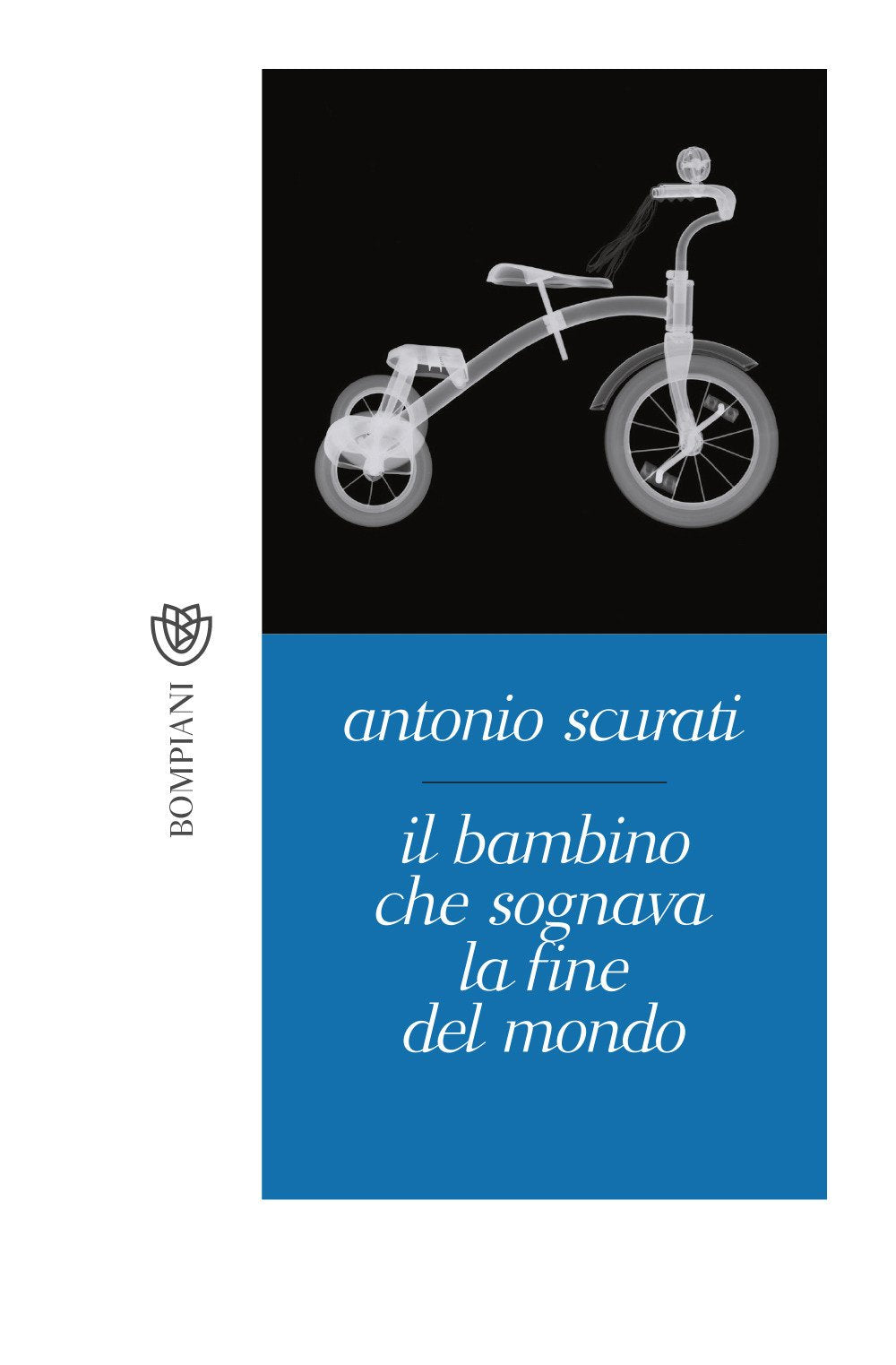Il bambino che sognava la fine del mondo book