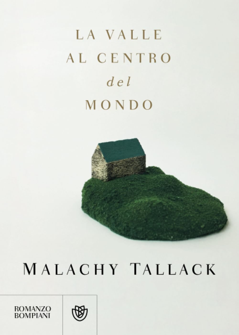 La valle al centro del mondo (Narratori Stranieri) Contemporary literature