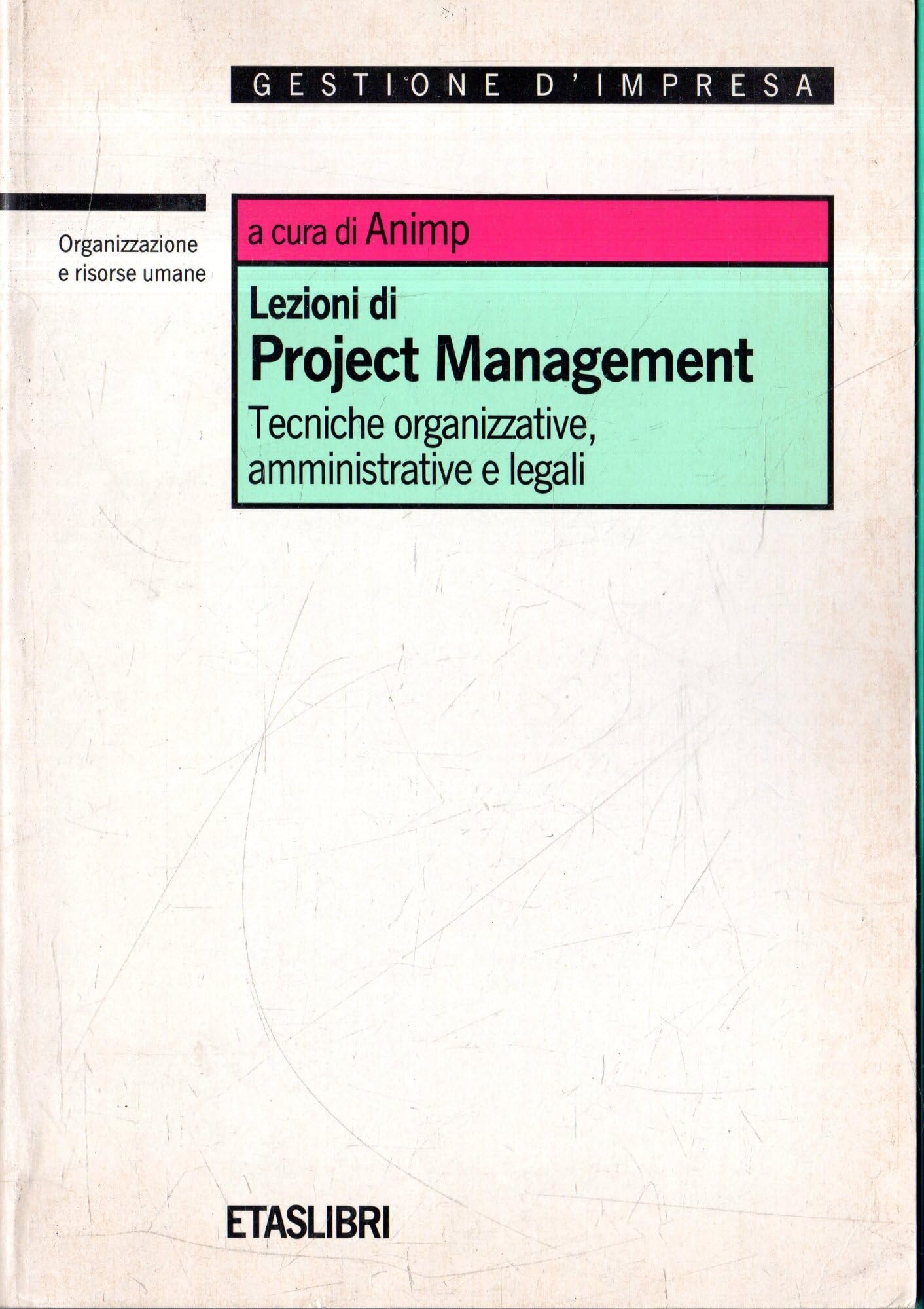 Lezioni di project management. Tecniche organizzative, amministrative e legali (ETAS Organizzazione e risorse umane) Business, Finance & Career