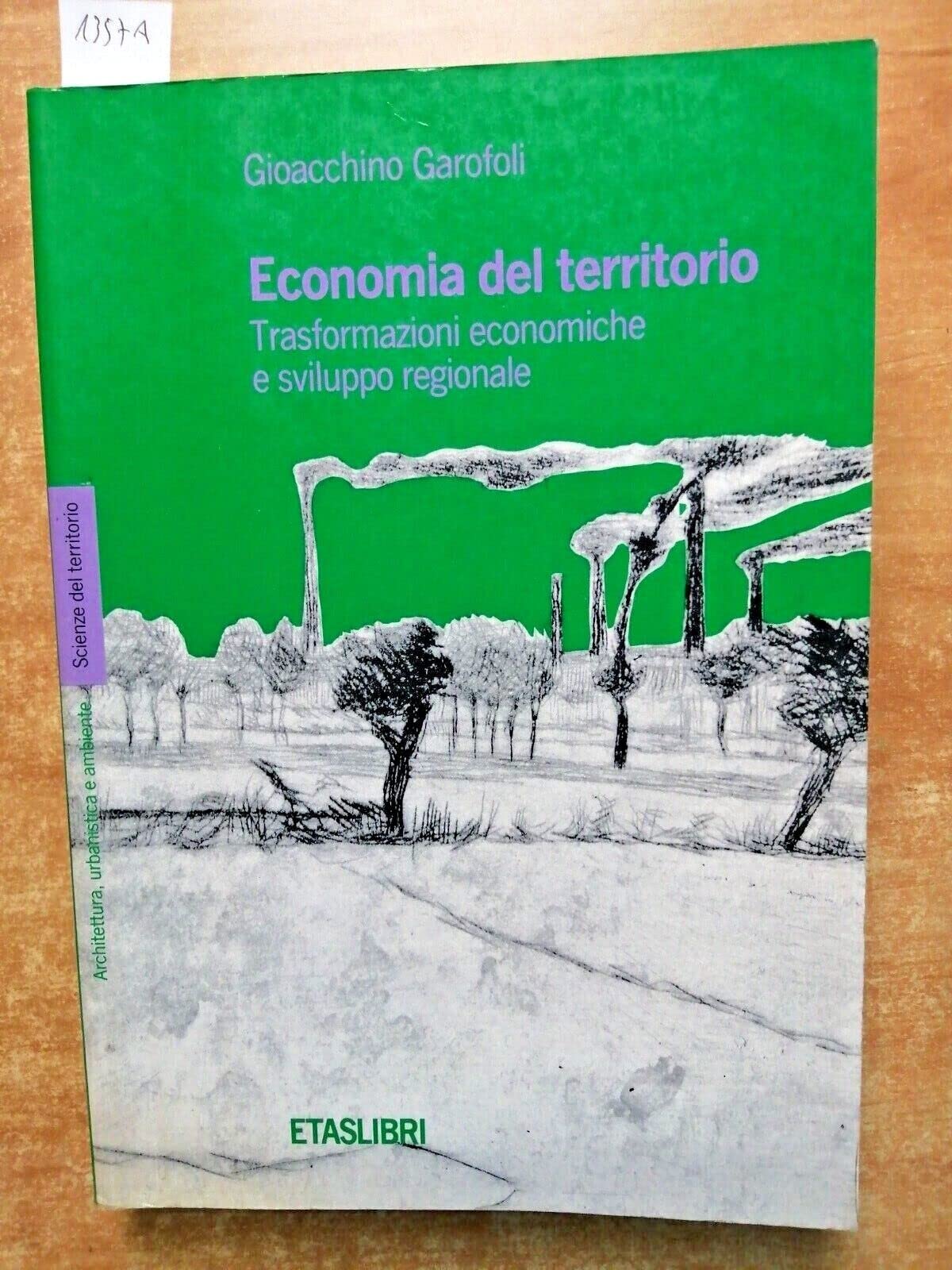Economia del territorio. Trasformazioni economiche e sviluppo regionale (ETAS Architettura e territorio) Business, Finance & Career