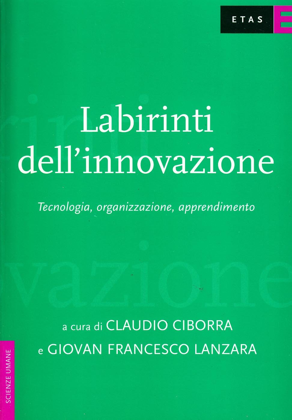Labirinti dell'innovazione. Tecnologia, organizzazione, apprendimento book