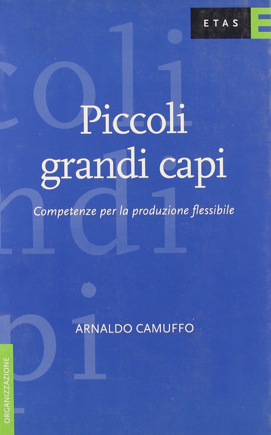 Piccoli grandi capi. Competenze per la produzione flessibile (ETAS Organizzazione e risorse umane) Business, Finance & Career