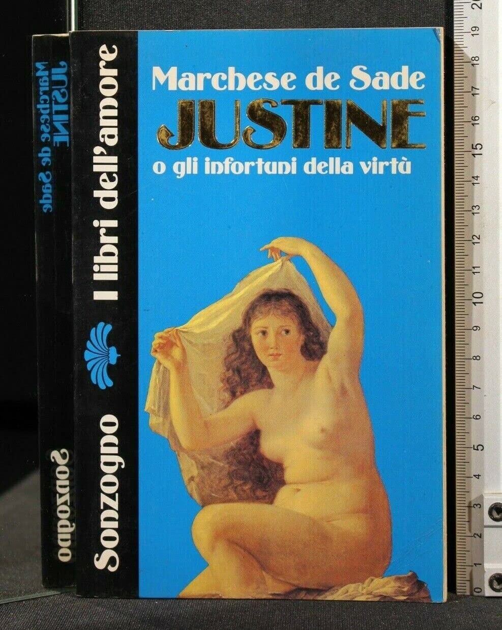 Justine o gli infortuni della virtù (Piaceri) Classics