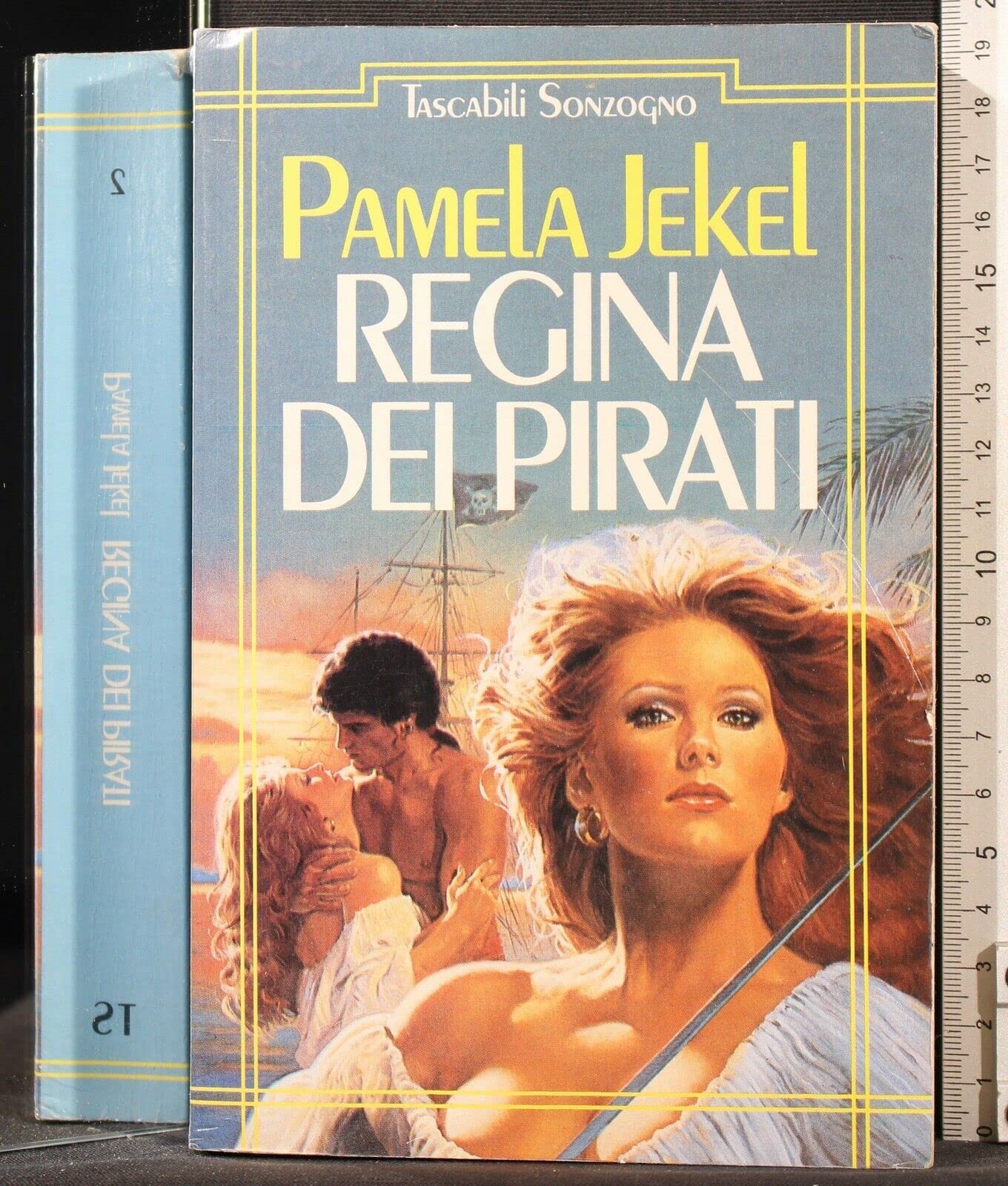 La regina dei pirati (Tascabili romanzi) Contemporary literature