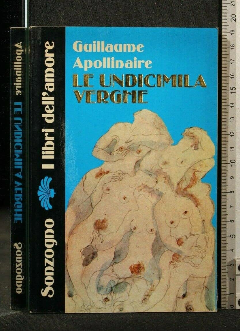 Le undicimila verghe book