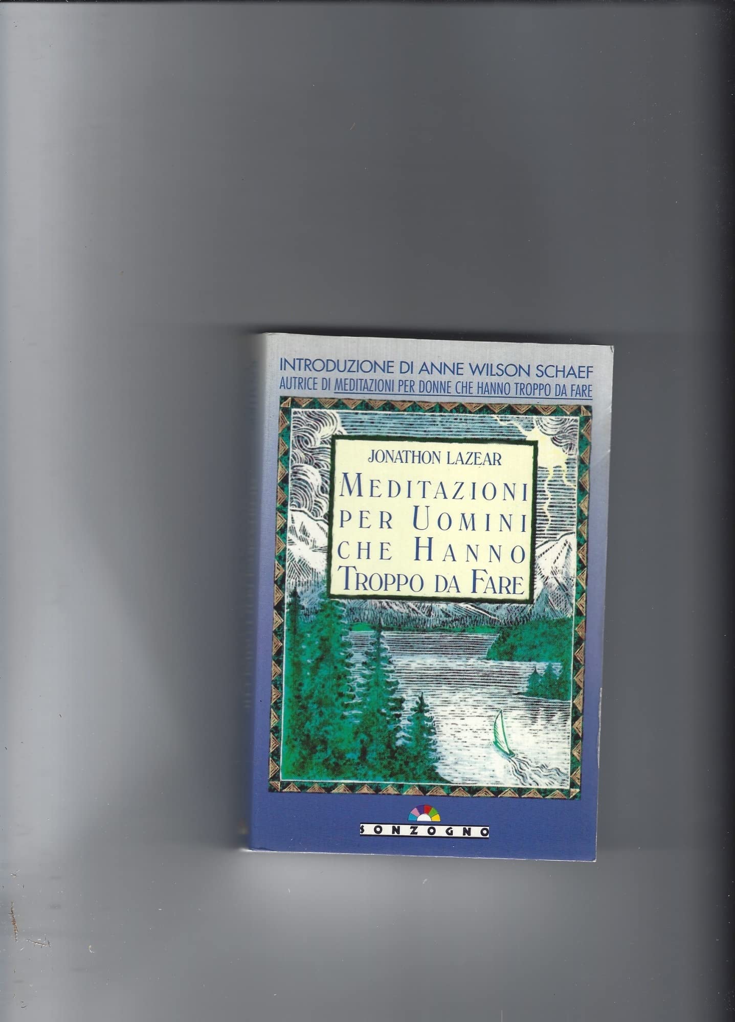 Meditazioni per uomini che hanno troppo da fare (Gli arcobaleni) Contemporary literature