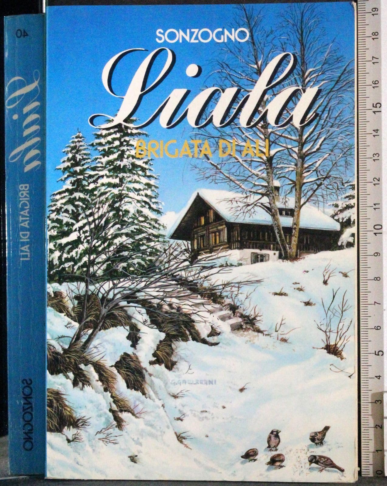 Brigata di ali (Liala bestsellers) Contemporary literature