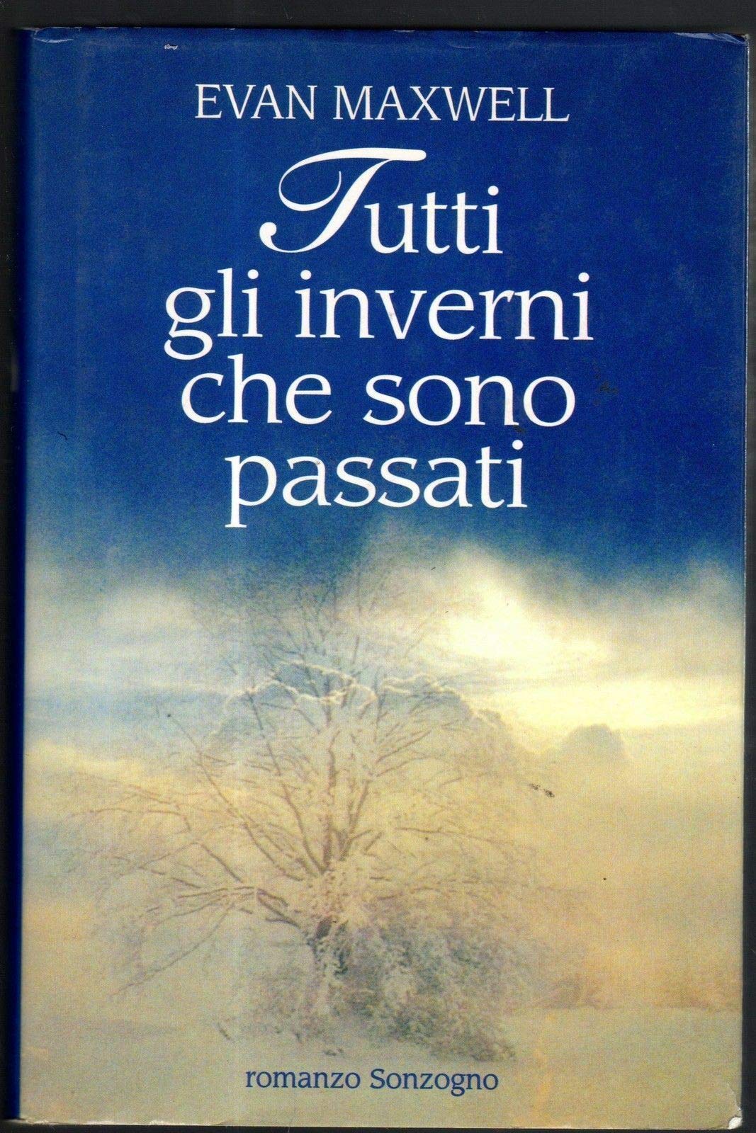 Tutti gli inverni che sono passati (Romanzi) Contemporary literature