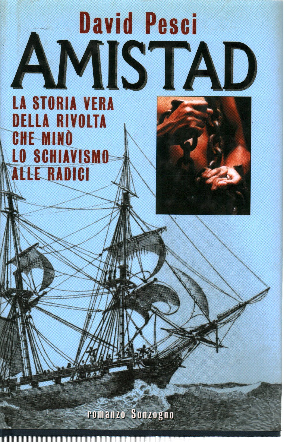 Amistad. La storia vera della rivolta che minò lo schiavismo alle radici book