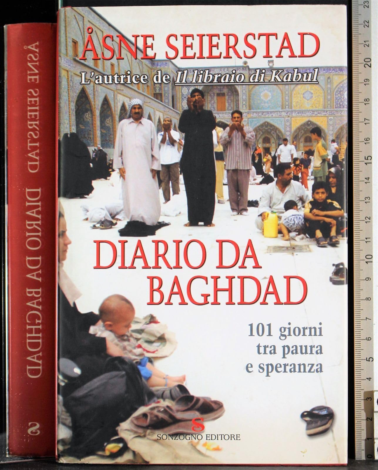 Diario da Baghdad. 101 giorni tra paura e speranza book