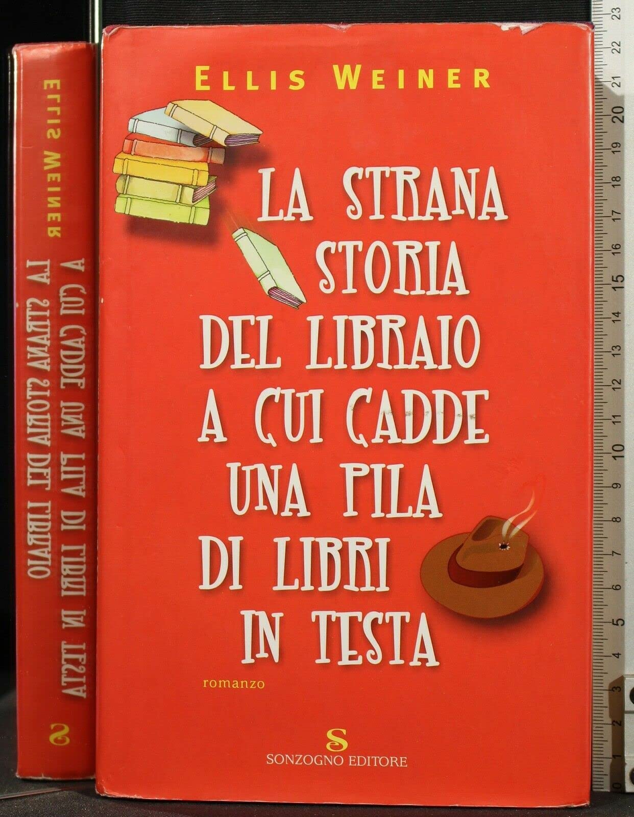 La strana storia del libraio a cui cadde una pila di libri in testa Contemporary literature