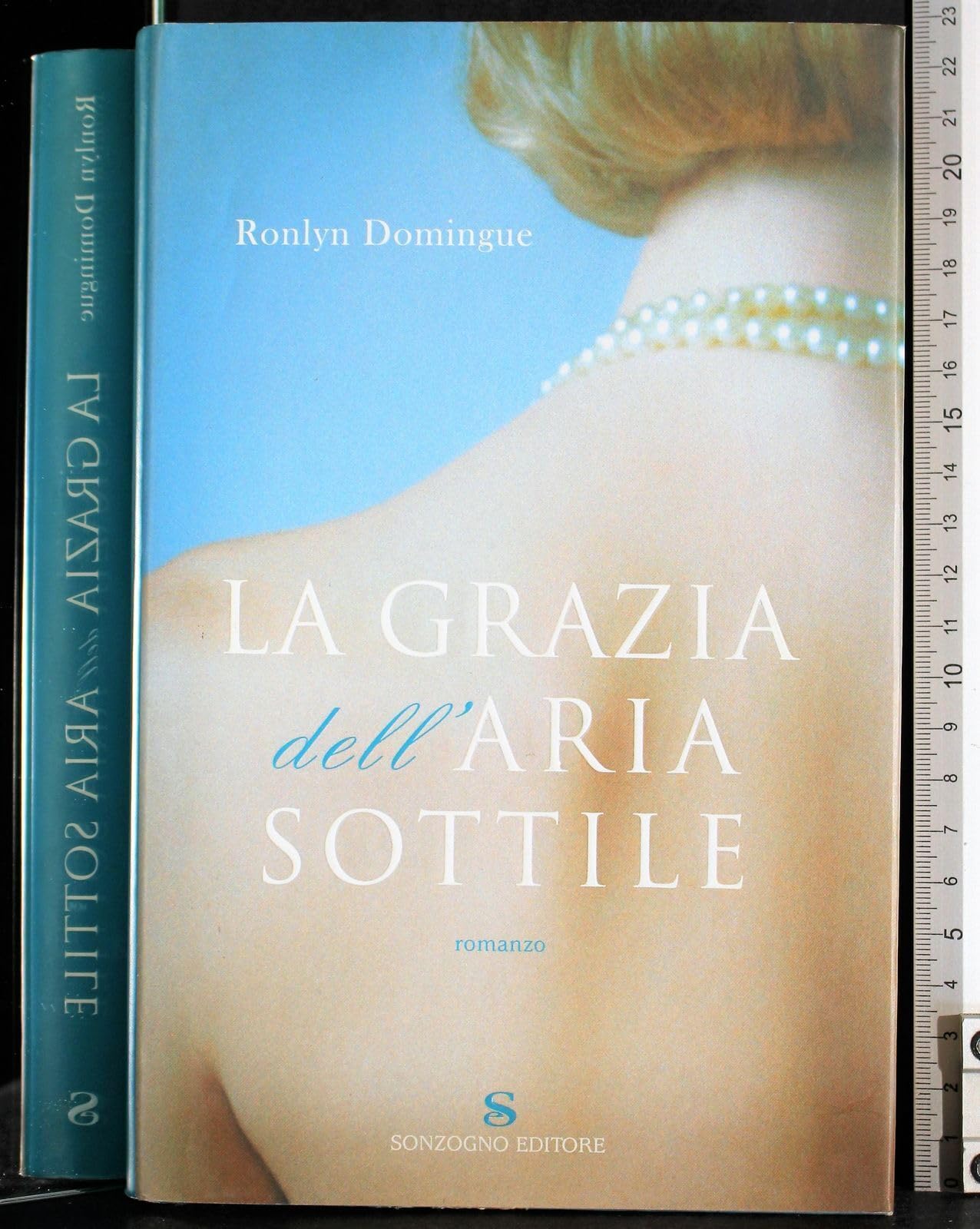 La grazia dell'aria sottile (Romanzi) Contemporary literature