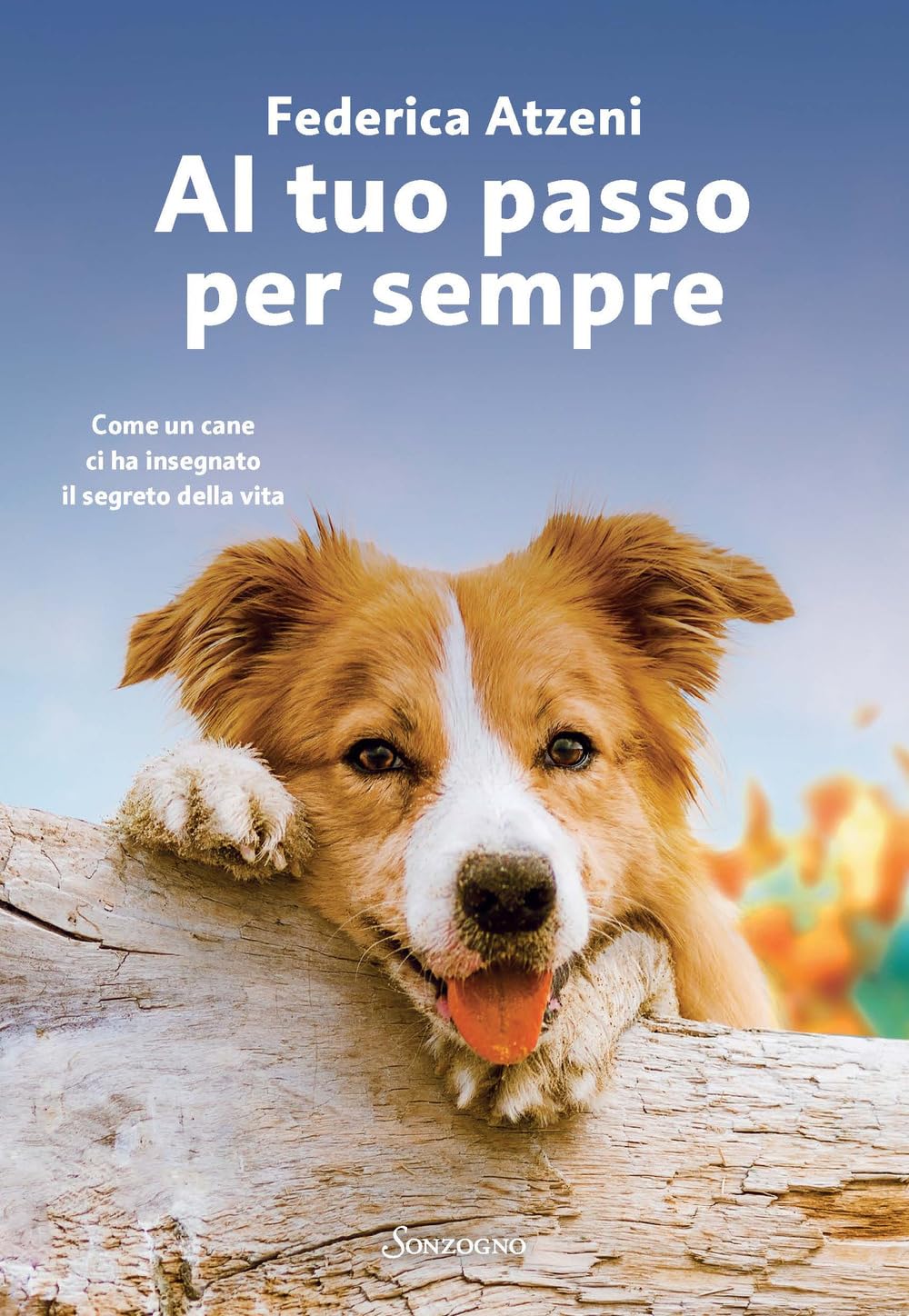 Al tuo passo per sempre. Come un cane ci ha insegnato il segreto della vita book