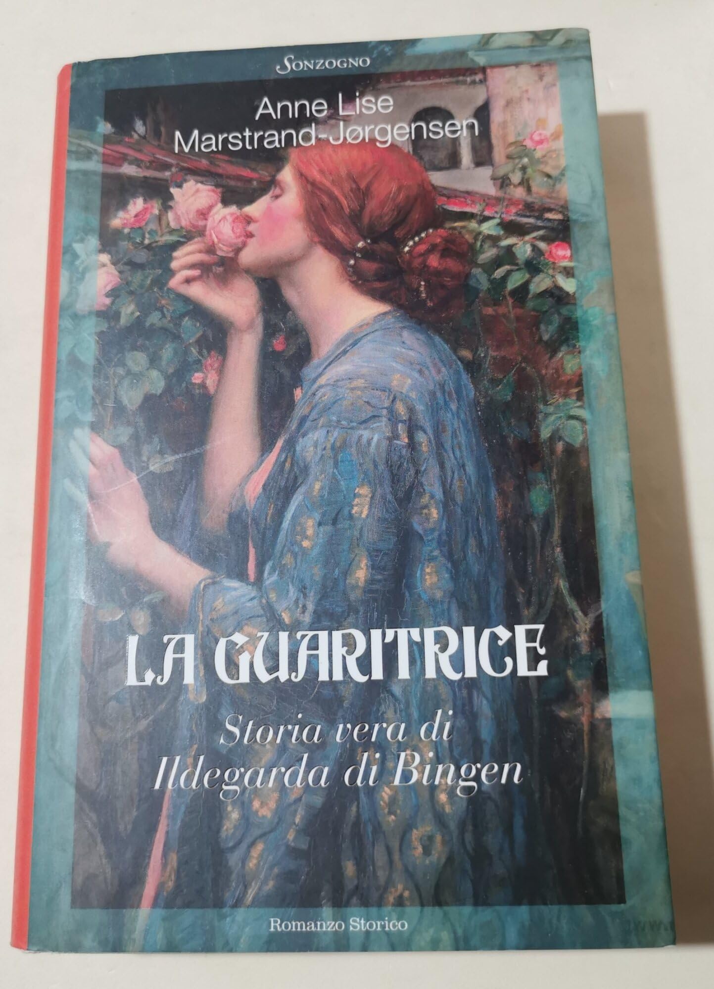 La guaritrice. Storia vera di Ildegarda di Bingen Biographies