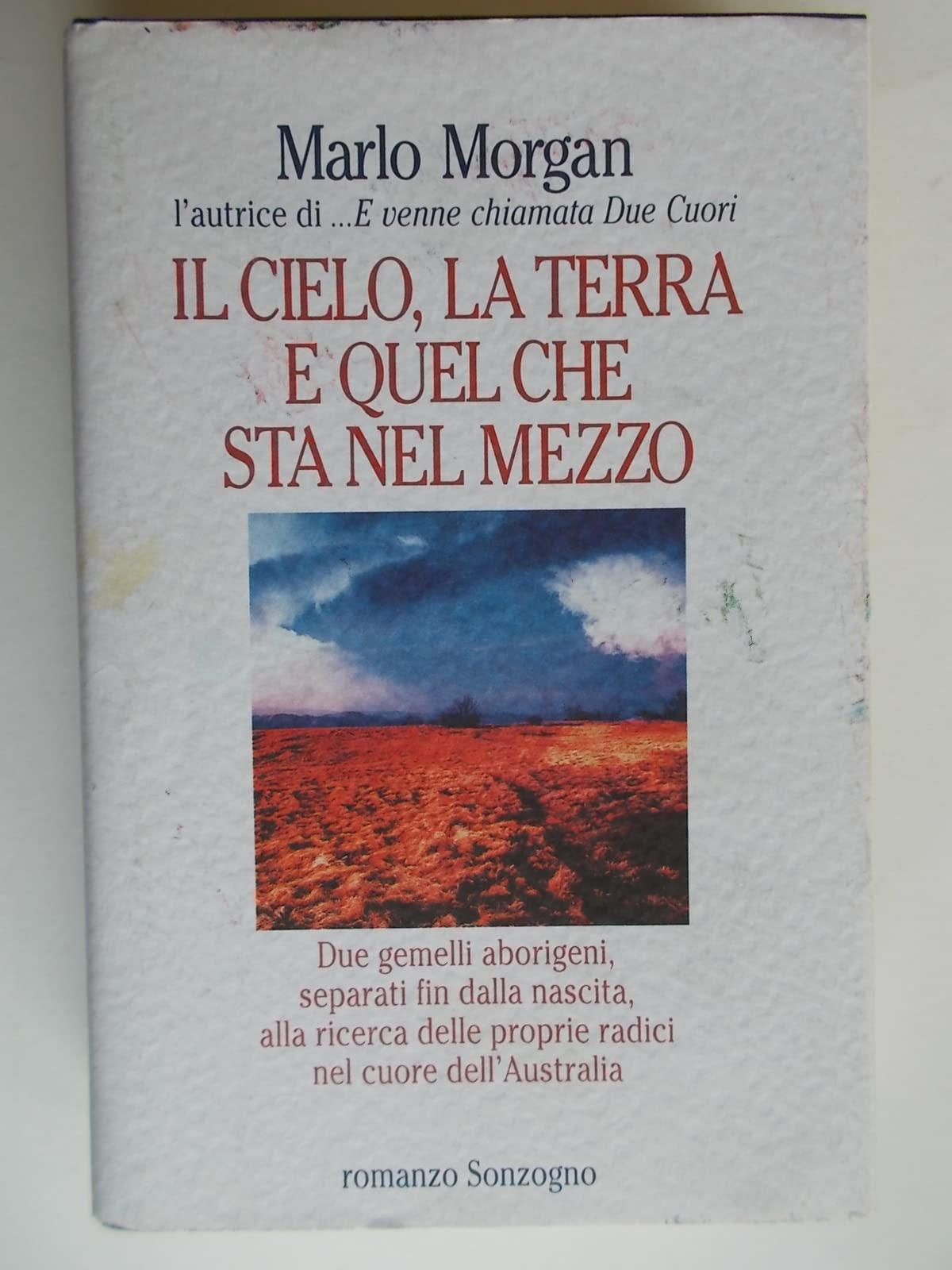 Il cielo, la terra e quel che sta nel mezzo book