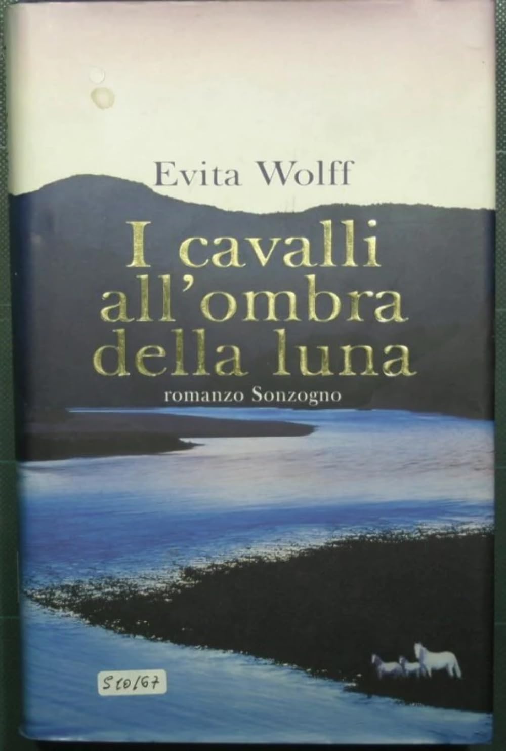 I cavalli all'ombra della luna (Romanzi) Contemporary literature