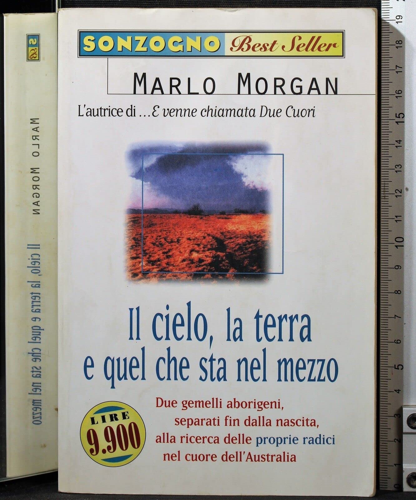 Il cielo, la terra e quel che sta nel mezzo book