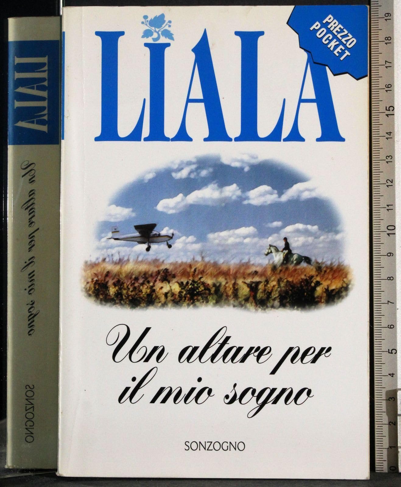 Un altare per il mio sogno (Liala bestsellers) Contemporary literature