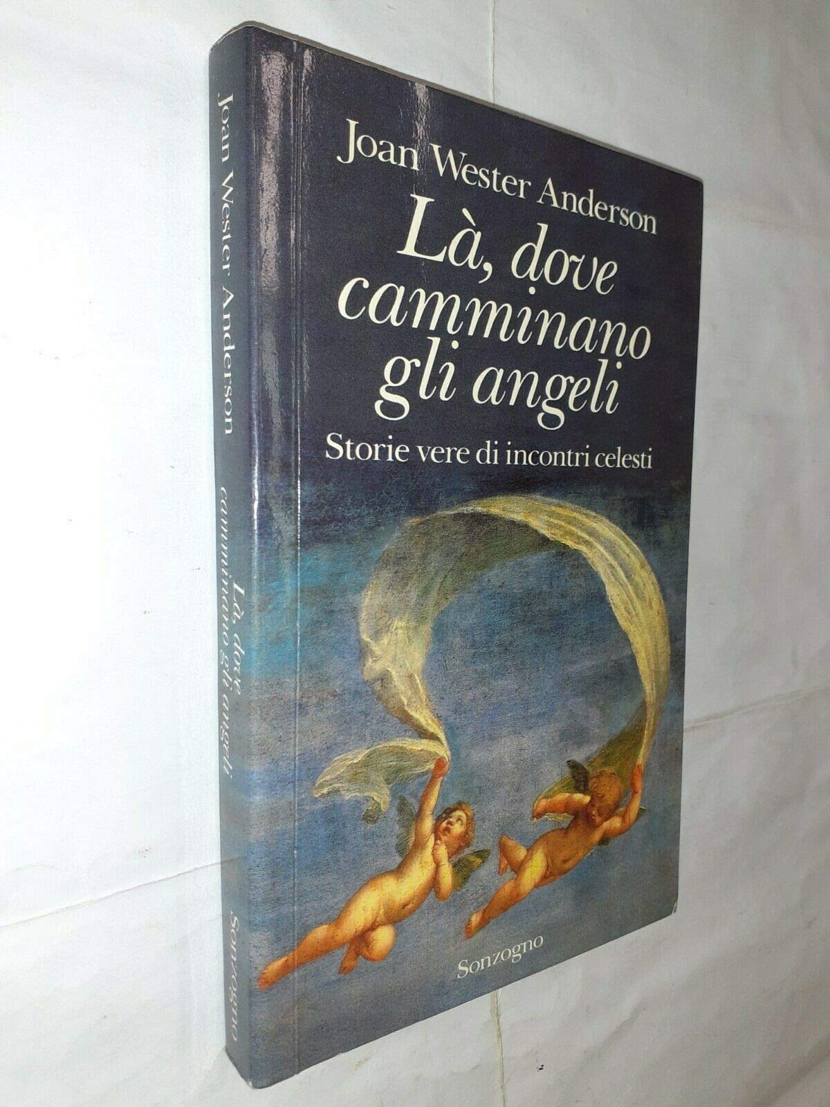 La', dove camminano gli angeli book