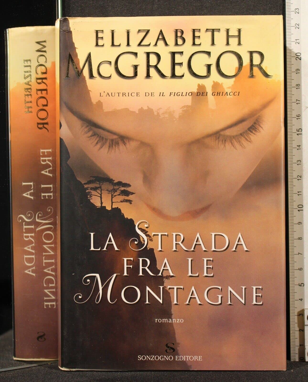 La strada fra le montagne (Romanzi) Contemporary literature Books