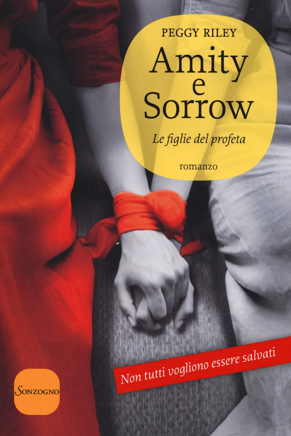 Amity e Sorrow. Le figlie del profeta book
