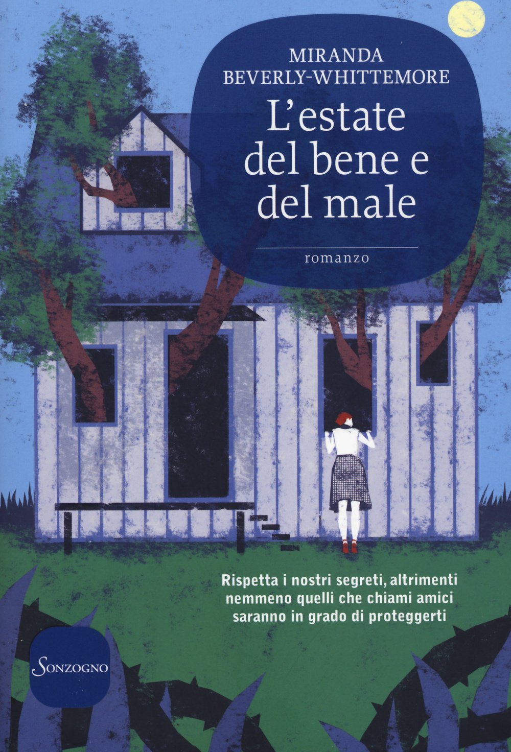 L' estate del bene e del male book