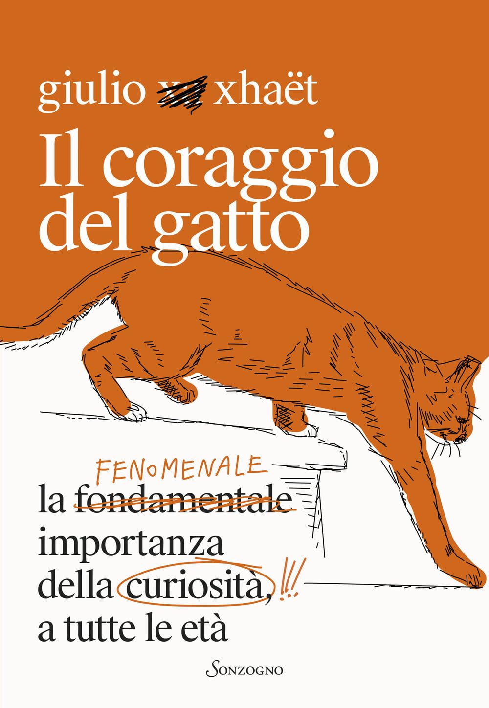 Il coraggio del gatto. La fenomenale importanza della curiosità a tutte le età book