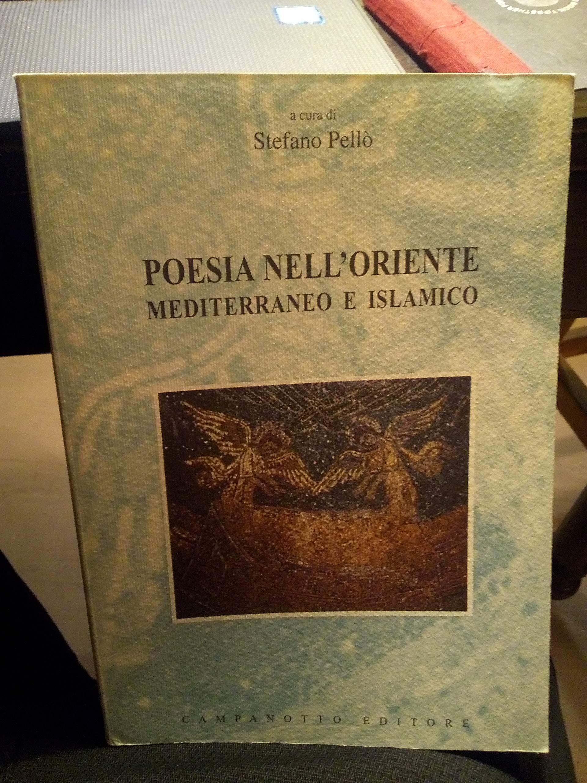 Poesia nell'Oriente mediterraneo e islamico (Zeta università. Saggi) Contemporary literature