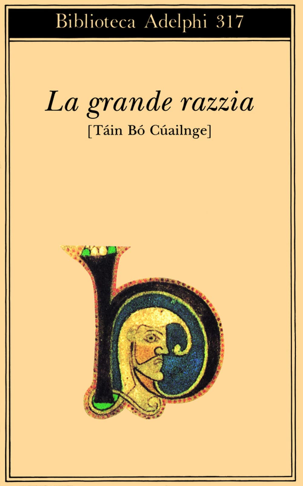 La grande razzia. Táin Bó Cúailnge book