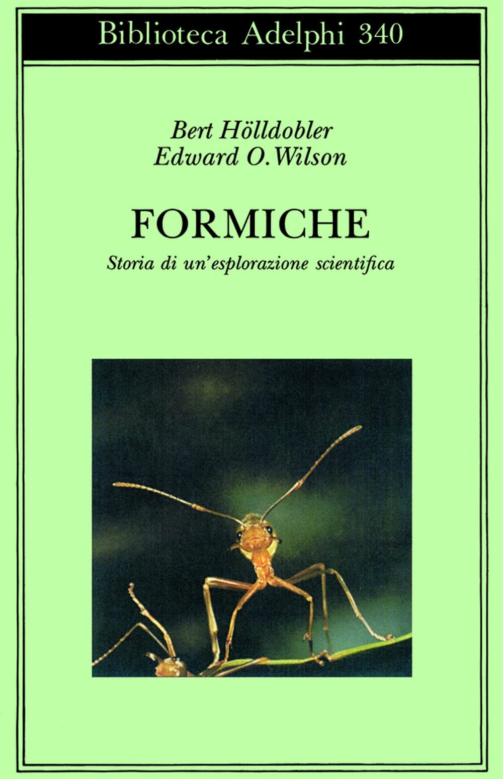 Formiche. Storia di un'esplorazione scientifica (Biblioteca Adelphi) Natural Sciences