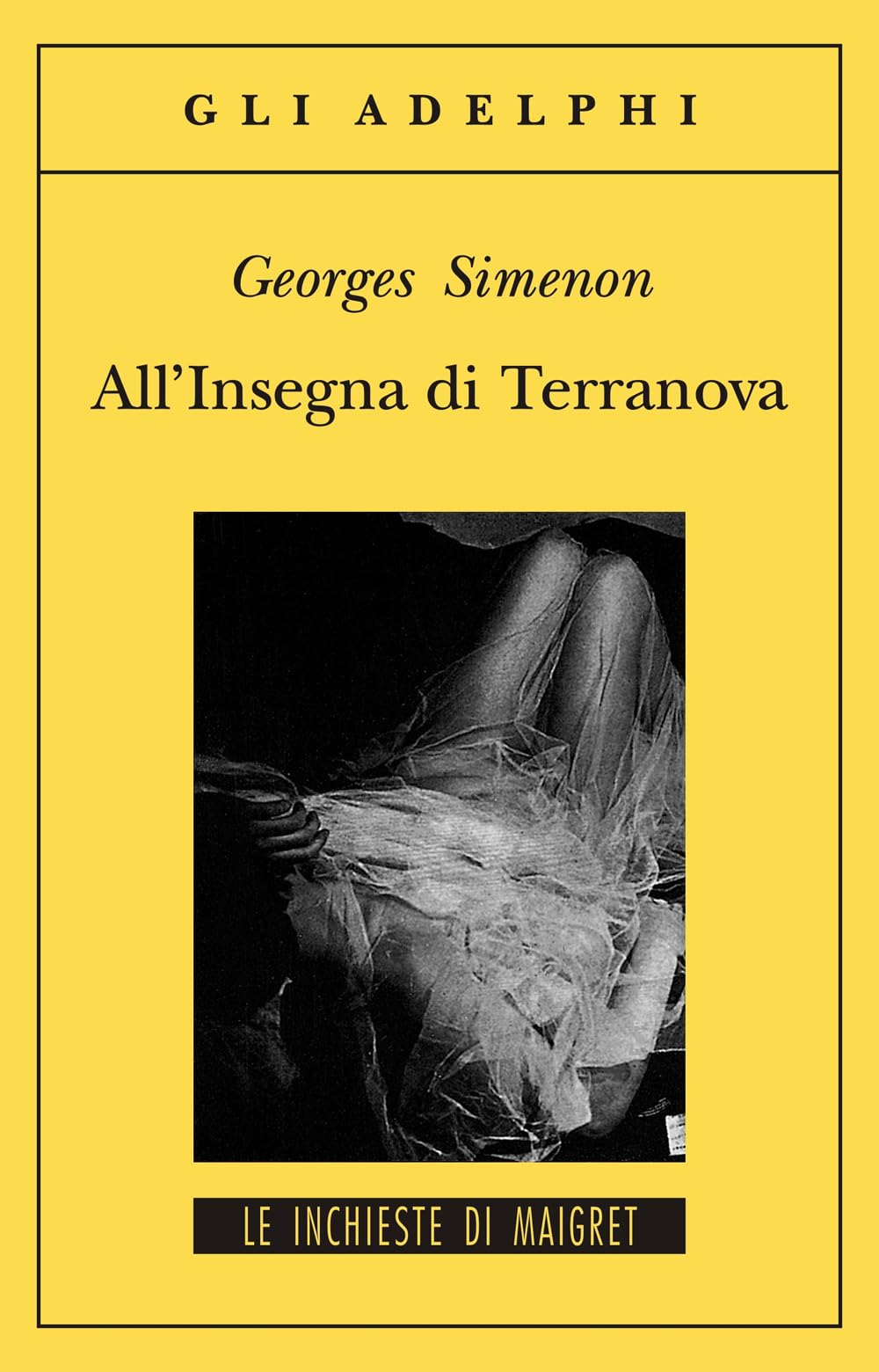 All'insegna di Terranova book