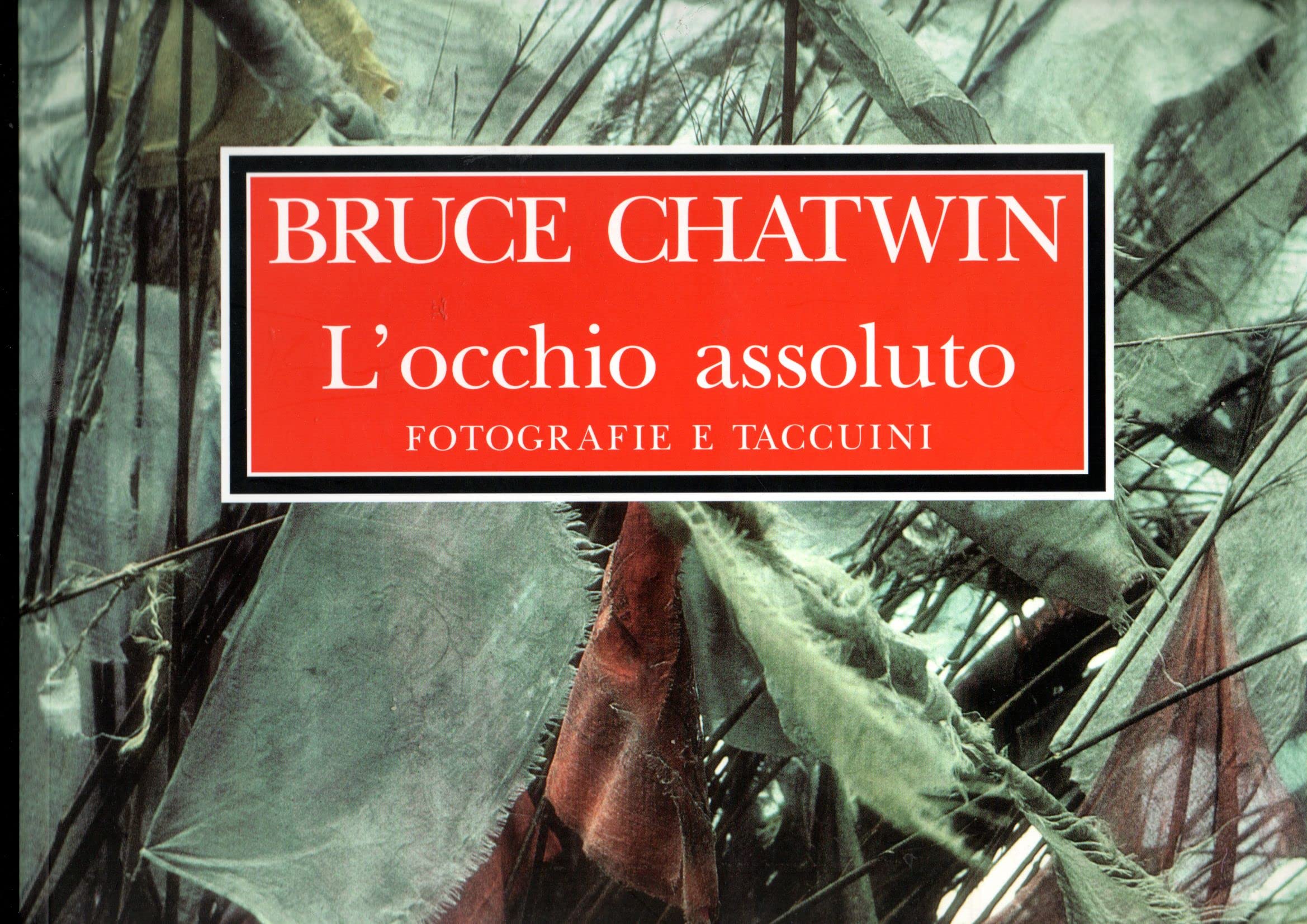 L'occhio assoluto. Fotografie e taccuini Essays & Short Stories