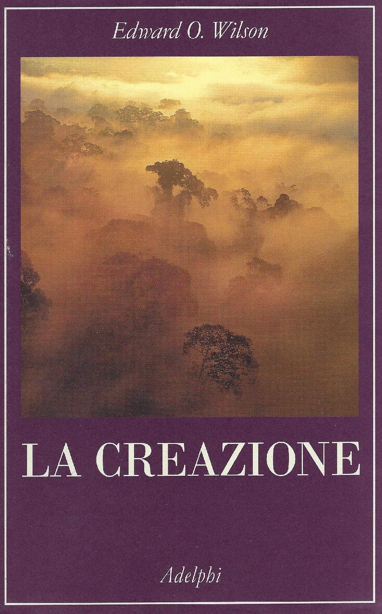 La creazione (La collana dei casi) Mathematics