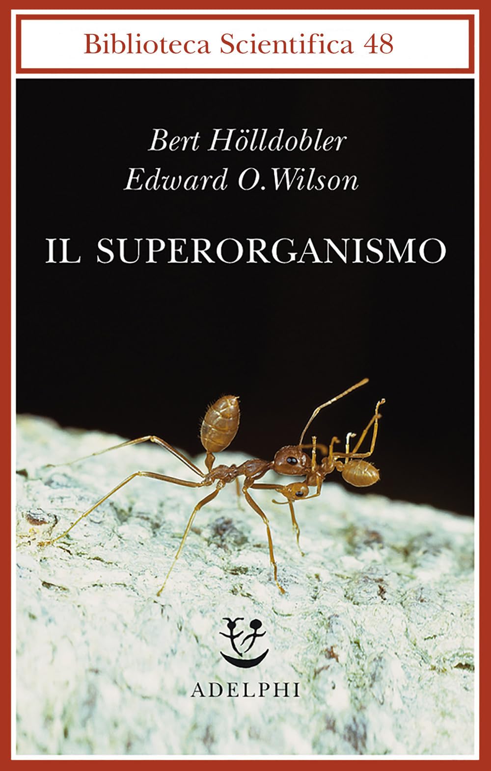 Il superorganismo (Biblioteca scientifica) Natural Sciences