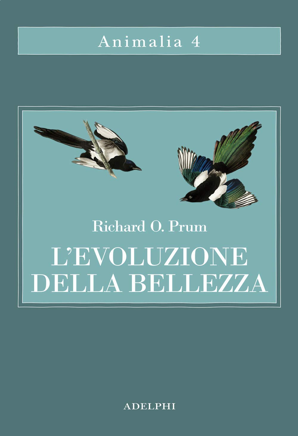 L'evoluzione della bellezza. La teoria dimenticata di Darwin (Animalia) Natural Sciences