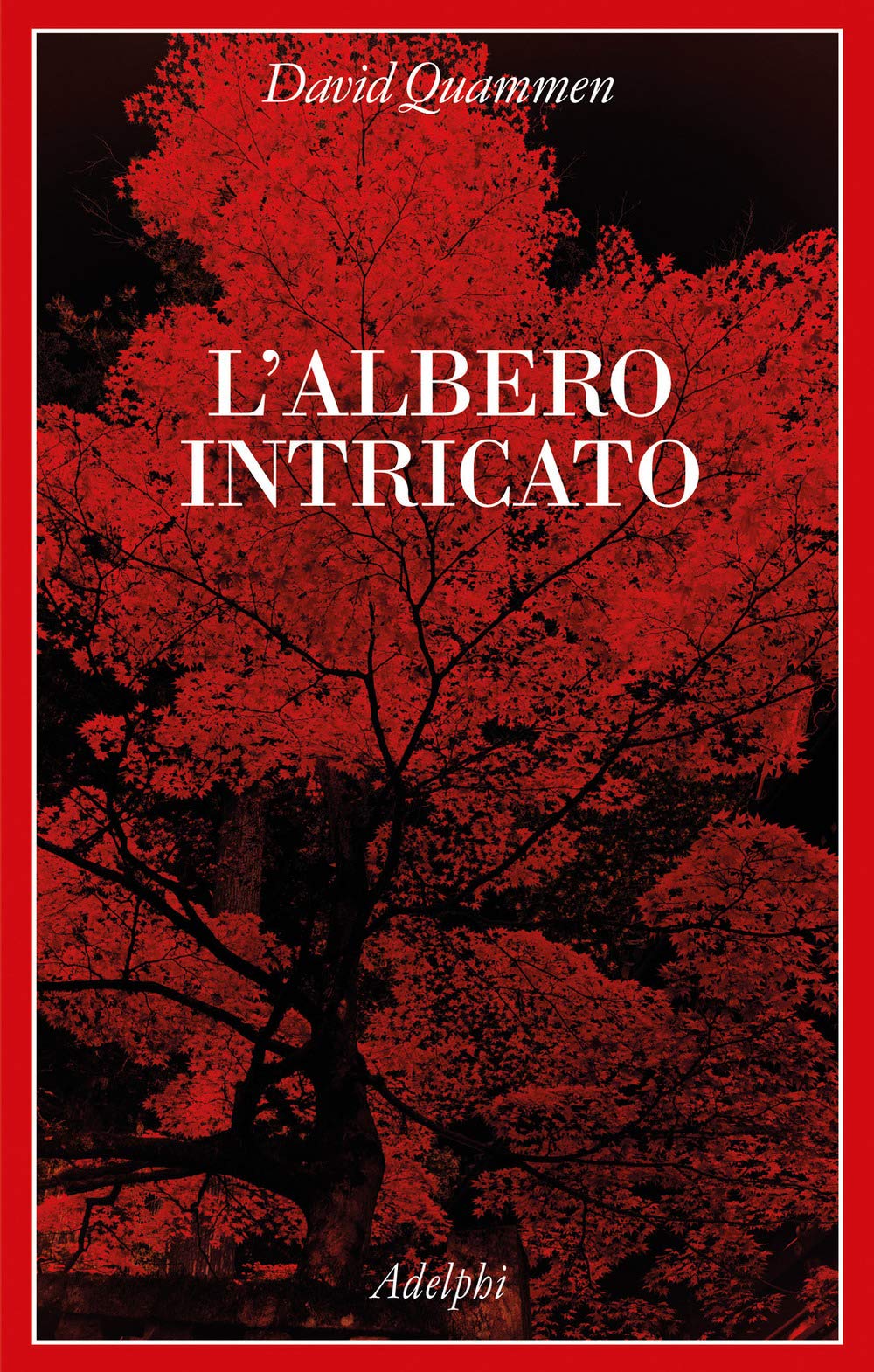 L'albero intricato (La collana dei casi) Natural Sciences