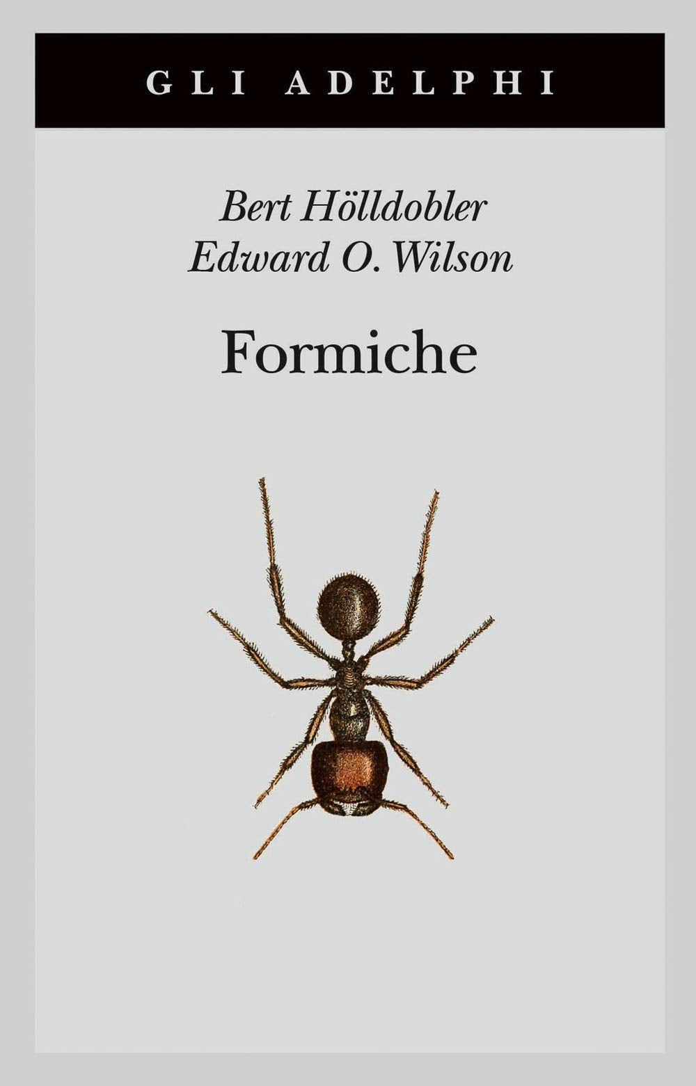 Formiche. Storia di un'esplorazione scientifica (Gli Adelphi) Natural Sciences
