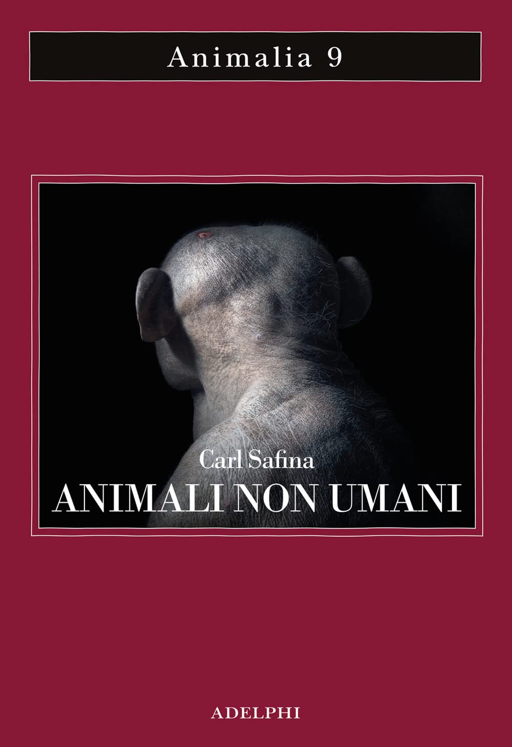 Animali non umani. Famiglia, bellezza e pace nelle culture animali (Animalia) Natural Sciences