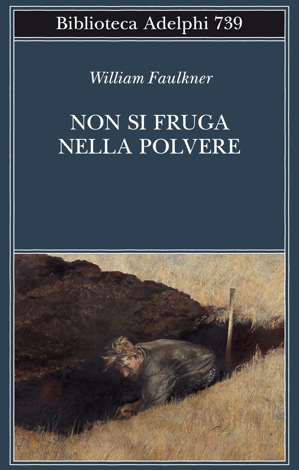 Non si fruga nella polvere book