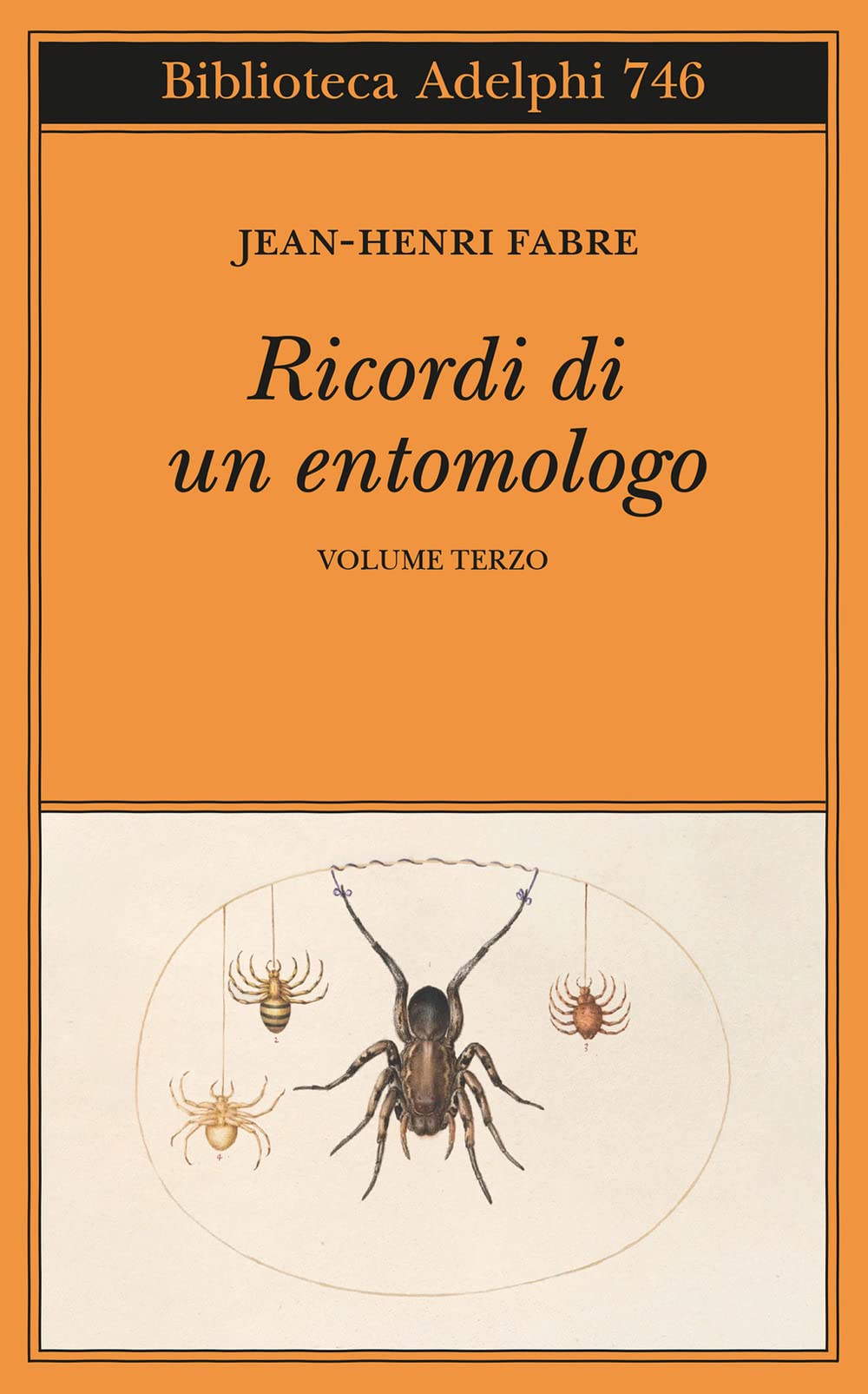 Ricordi di un entomologo (Vol. 3) book